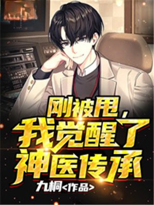 我觉醒了神医传承 txt