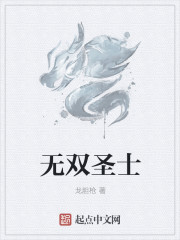 无双圣士