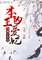 本王的爱妃为何不争宠小说免费