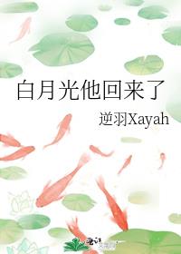 白月光他回来了 晋江