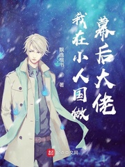 我在小人国做幕后大佬 小说