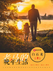 塔防精灵老马助手
