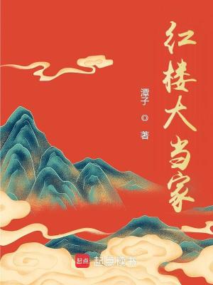 红楼大当家书海阁
