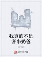 我真的不是客串奶爸起点