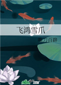 飞鸿雪爪代表什么生肖