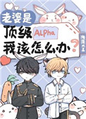 老婆是顶级ALPHA,我该怎么办 TXT