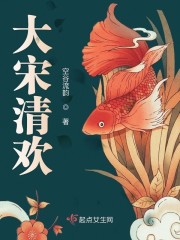 大宋清欢百度网盘
