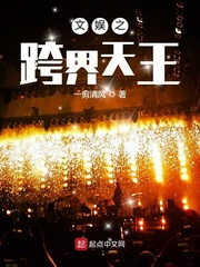 娱乐之完美天王
