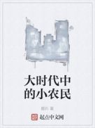 大时代中的小农民无错