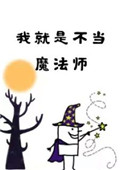 我就是不当魔法师TXT