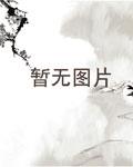 北朝求生实录手打