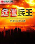 绝世兵王秦风