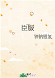 臣服ih