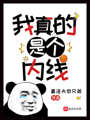 我真的是个内线txt下载精校版