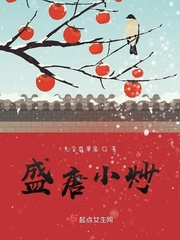 盛唐小炒音频在线收听
