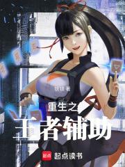 王者辅助小说