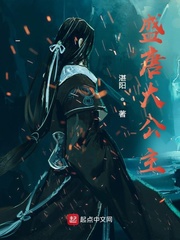 盛唐大公主全文阅读
