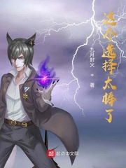 这个选择太棒了小说免费阅读