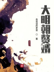 大明朝赘婿动漫合肥