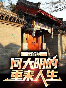 四合院:我何大清
