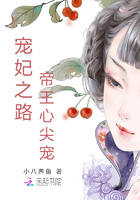 宠妃之路:帝王心尖宠 小说