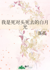 我是死对头死去的白月光网盘