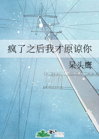 我疯了还是傻是什么歌