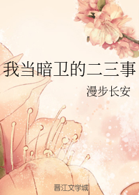 我当暗卫的二三事讲的什么