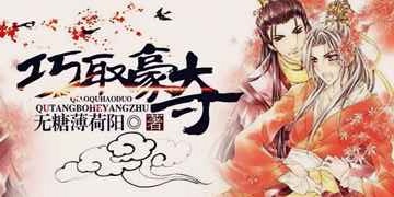 巧取豪夺小说