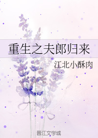 重生之夫郎归来书包网