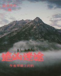 迷途追凶解析