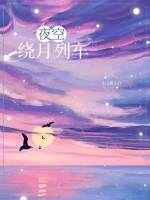 夜空绕月列车说的啥
