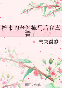 抢来的媳妇哈皮千