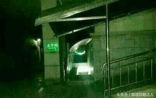 火葬场好玩吗 小说