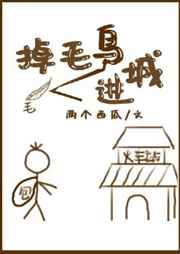 鸟的掉毛期