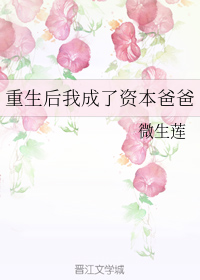 重生我竟成了资本黑手 花皮的皮