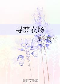 苏子卿的寻梦农场