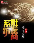 手机卡批发商