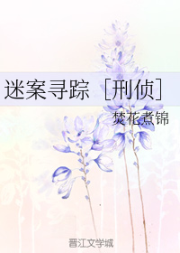 迷案寻踪刑侦 焚花煮锦 网盘