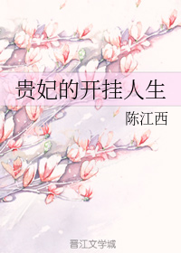 贵妃的开挂人生小说