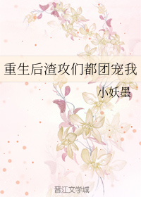 重生后渣攻都团宠我 小说