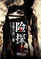大众探岳