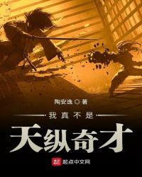 我真不是天纵奇才 陶安逸