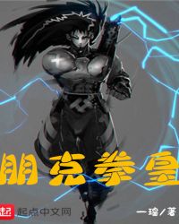 朋克拳皇类似小说