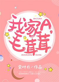 我家A