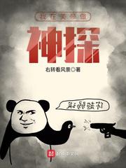 我在美帝做神探txt小说下载
