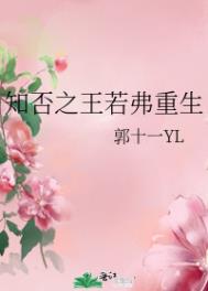 知否之王若弗重生全文阅读