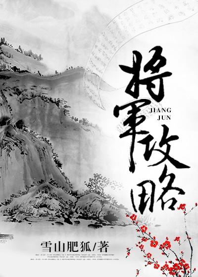 将军攻略 小说