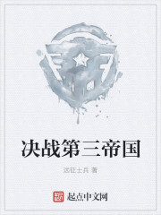 小说决战第三帝国