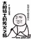 太阳骑士up主有哪些